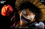 One Piece Monkey D. Luffy 1