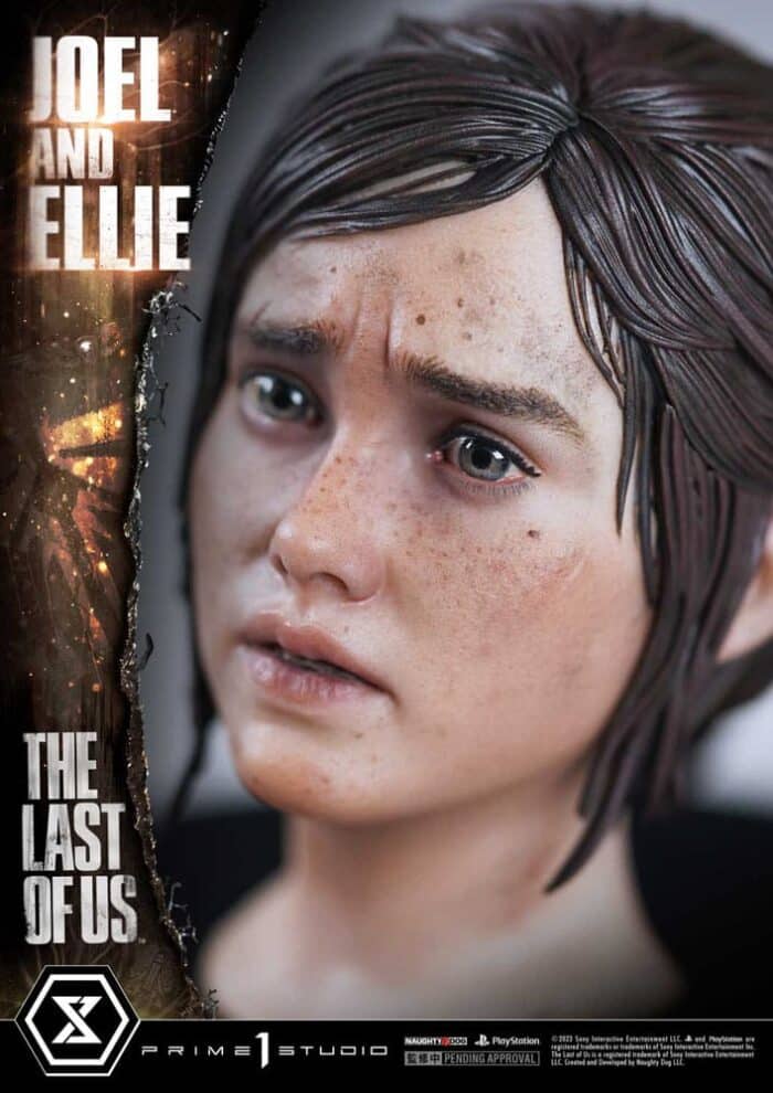 The Last of Us DXBV