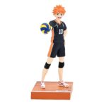 Haikyu!! Shoyo Hinata