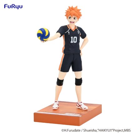 Haikyu!! Shoyo Hinata