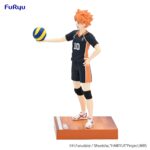 Haikyu!! Shoyo Hinata