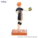 Haikyu!! Shoyo Hinata