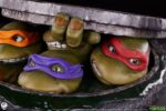 Teenage Mutant Ninja Turtles