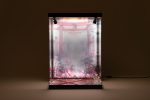 SHINSAI Acryl Display Case