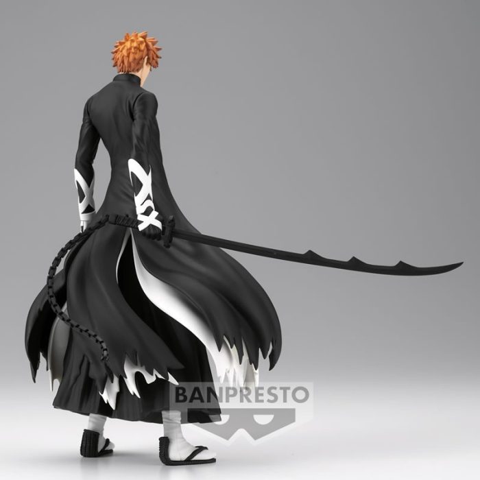 Bleach "Solid and Souls Ichigo Kurosaki"