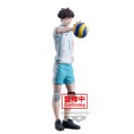 Haikyu!! "Taru Oikawa"